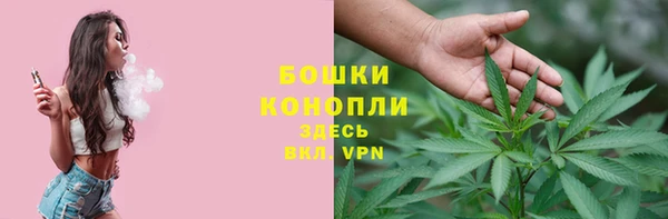 мяу мяу мука Беломорск