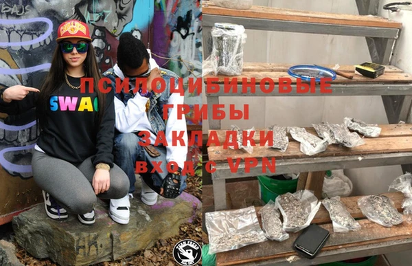 стаф Тавда