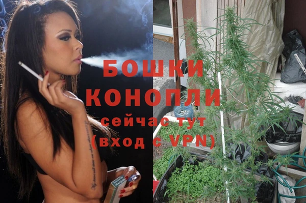 мяу мяу мука Беломорск
