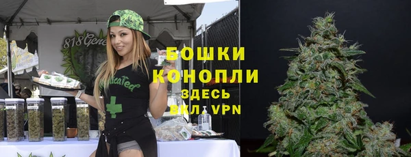 MDMA Белокуриха